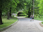 IMG_2445.JPG
